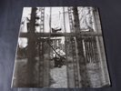 Paul McCartney - Chaos And Creation In The Backyard 2005 UK/Euro LP 1st