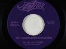 Garage Psych Fuzz 45 - Spontaneous Generation - Up In My Mind - Fevre - mp3