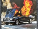 Woodstock by Portugal the Man (Record, 2017)