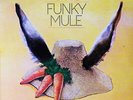 Ike Turner - Funky Mule (LP) (Near Mint (NM or M-)) - 1946211398