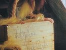 Kate Bush Signed Autograph Lion Heart Vinyl Album