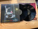 Panic at the Disco ALL MY FRIENDS WE'RE GLORIOUS Death of a Bachelor LIVE Vinyl