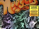 V.A. - Nuggets: Original Artyfacts From The First Psychedelic Era (196 (Reissue)