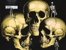 SKULL SNAPS SKULL SNAPS LP VINYL 9 track reissue in g'fold sleeve (MRBLP184) UK