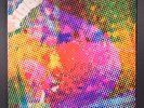 LITTER: $100 fine HEXAGON 12
