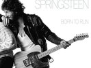 Bruce Springsteen Born to Run (Vinyl LP 12