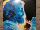 The Doors - Live At The Aquarius Theatre : 3 x Vinyl LP Near Mint