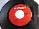 Rare Canada-only *Monkees* Rock 45  She Hangs Out  RCA Beauty