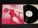 Meat Loaf - LIVE - Bat out of hell White Label Promo Radio Station RARE  N.Mint