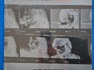 The Beatles Let it be… Naked - New and Sealed - Vinyl LP - Neu