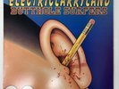 Butthole Surfers - Electriclarryland- 1996 Original Vinyl - AltRock - EX