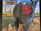 BLINK 182 Dude Ranch - Hot Topic Splatter Limited Colored Vinyl