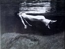 Bill Evans / Jim Hall Undercurrent Limited #d MFSL remastered vinyl LP NEW/SEALE