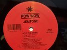 Jemtone – Into The Music house  12