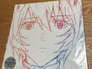 Shin Evangelion One Last Kiss LP Record Analog Hikaru Utada 2021 Edition JAPAN