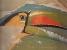 Jane Sign No 9 KRAUT NEAR MINT Brain Vinyl LP