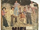 GRUPO MIEL - El paso / RARE COSTA RICA AFRO CALYPSO 45