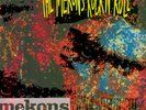The Mekons - The Mekons Rock 'N' Roll - Used Vinyl Record - N16286A