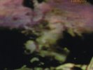 Ministry - The Land Of Rape And Honey Vinyl, LP, Album, Reissue
