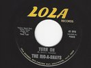 SURF GARAGE INSTRUMENTAL ROCKER-THE RIC-A-SHAYS- 