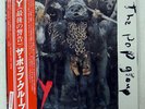 POP GROUP Y RADAR P10705F JAPAN OBI VINYL LP