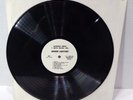 Gordon Lightfoot - LP DEMO Sampler Mono - XTV 221564 - RARE