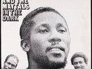 TOOTS & THE MAYTALS - In The Dark - UK LP