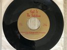 Hail To The Redskins Vinyl - 45 RPM - Conductor Sammy Shreiber (Streiber) RARE