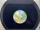 Van Halen ‎– You Really Got Me, Vinyl Promo Record - PRO-A-708