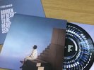 Lewis Capaldi ZOETROPE SOLD OUT Vinyl Broken By Desire To Be Heavenly Sent Rare