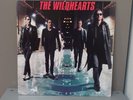 The Wildhearts 12
