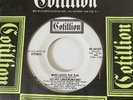 VELVET UNDERGROUND - WHO LOVES THE SUN, COTILLION 45-44107, WLP 45 RPM, RARE
