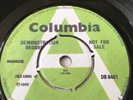 Pink Floyd It Would Be So Nice Facsimile Demo DB 8401. Nice.
