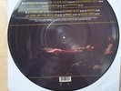 Rammstein - Liebe ist für alle da Picture LP  2009