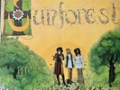 Sunforest - Sound Of Sunforest LP UK original 1969 Deram Nova Acid Folk Psych