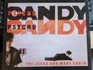 THE JESUS AND MARY CHAIN PSYCHOCANDY INDIE NOISE ROCK DAMONT 1ST PRESS BYN-7-A G