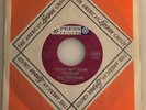 The Fortunes / You've Got Your Troubles / 1965 Press 45 / NM