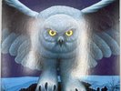 Rush- Fly By Night- Pitman First Pressing-Ex Condition