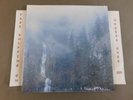 SEALED WOLVES IN THE THRONE ROOM DIADEM OF 12 STARS DBL LP DIA014