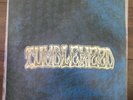 Tumbleweed Self Titled Vinyl LP RARE