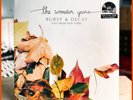 The Wonder Years - Burst & Decay: Live From New York LP On On Colored Vinyl