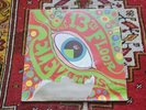 PSYCHEDELIC SOUNDS 13TH FLOOR ELEVATORS MONO LP PSYCH