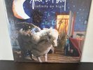 Fall Out Boy Infinity on High Exclusive Limited Glitter Blue Colored Vinyl 2XLP