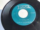 Scarce 1964 Teener 45 *Tammi and the Bachelors* My Summer Love  Bangar 00610