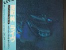 JUN FUKAMACHI: triangle session KITTY 12