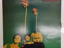 The Gun Club Miami 1982 UK Vinyl LP VG+/VG+