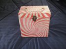 case with records 45's
