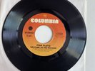 Pink Floyd Have A Cigar Welcome To The Machine 45 RPM Vinyl Record #4532