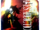 JANE'S ADDICTION -  Mountain Song - Vinyl 45rpm 1989 Warner Records 27520 PROMO