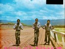 The Pioneers - Long Shot Translucent Magenta Vinyl  (2023 - EU - Original)